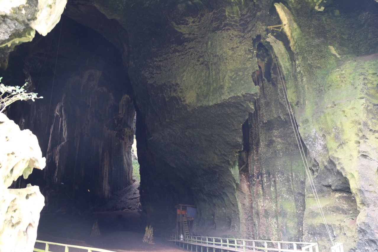 Gomantong cave 9742