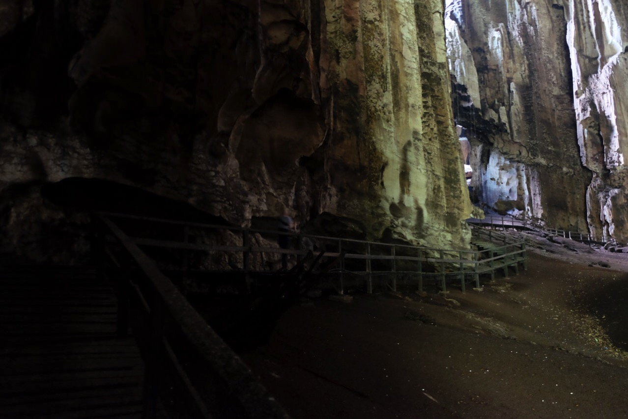 Gomantong cave 9758