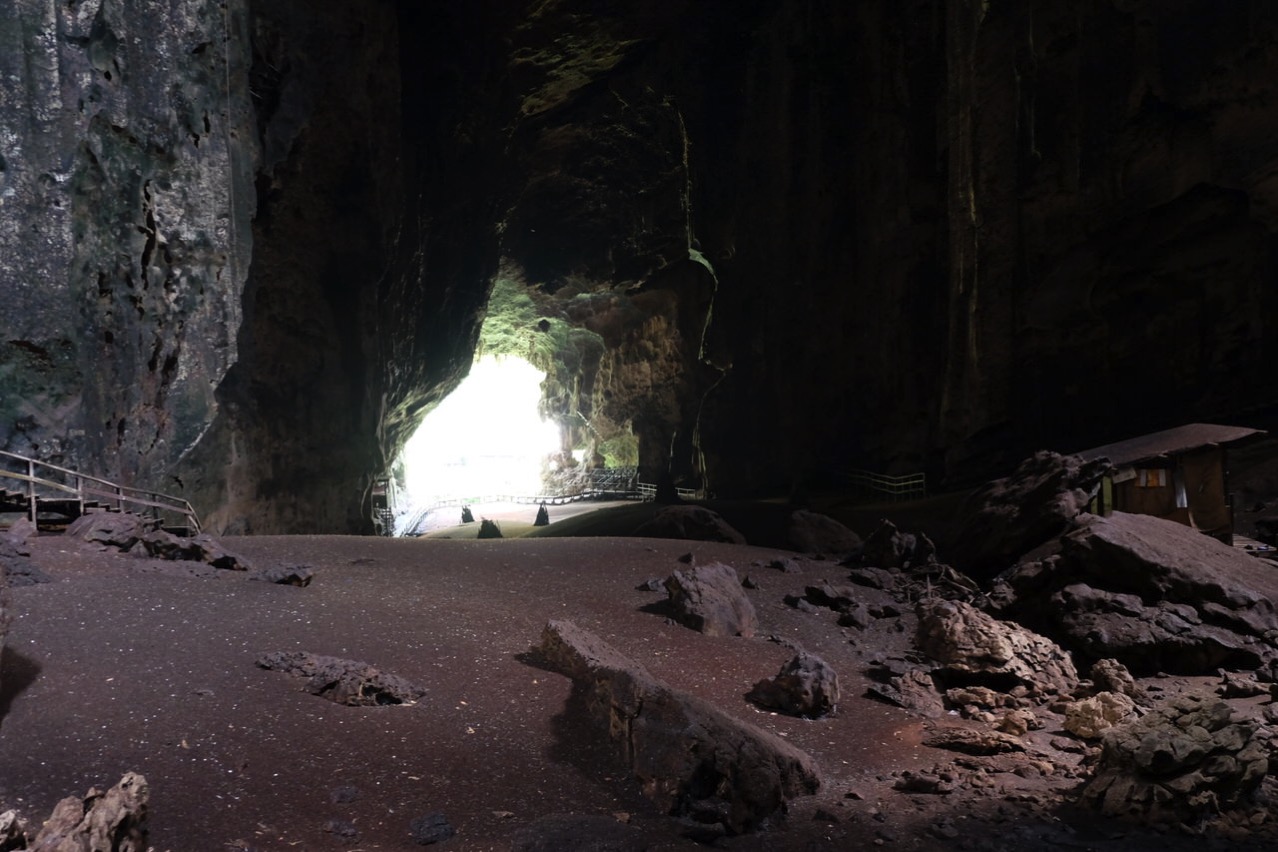 Gomantong cave 9783