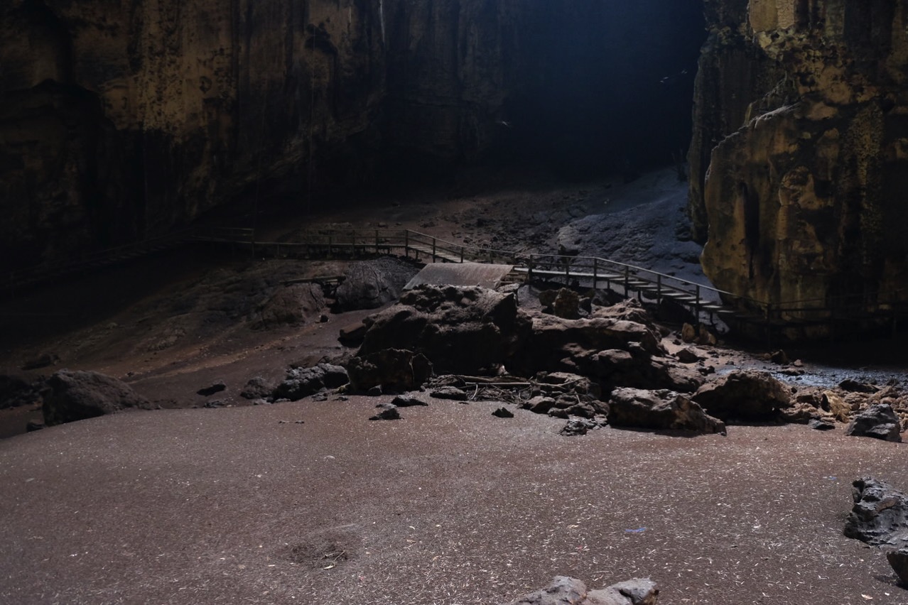 Gomantong cave 9786