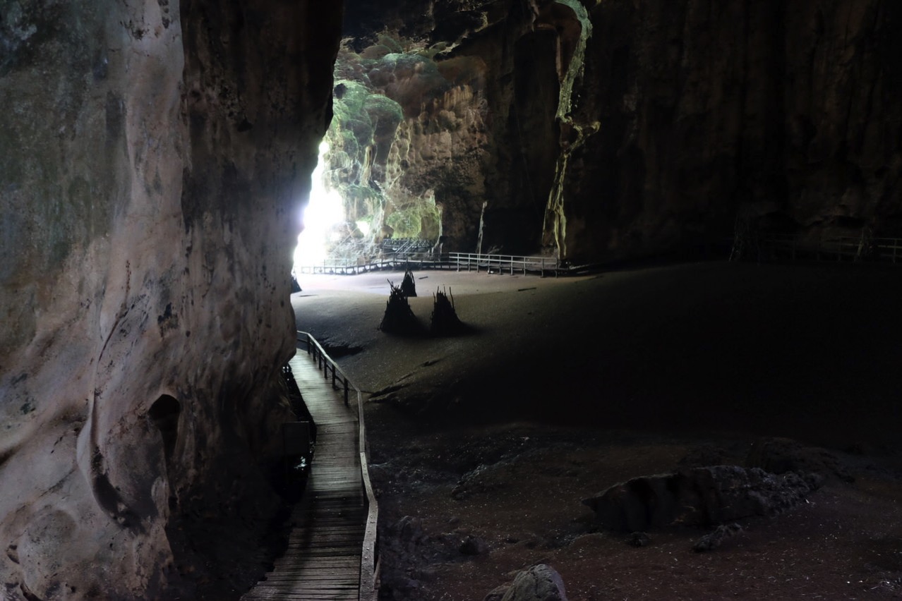 Gomantong cave 9793