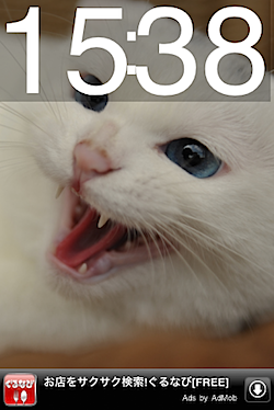 cat_too_much_01866.PNG