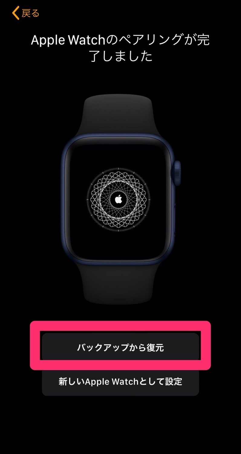 【Apple Watch 6】機種変更しようとしていきなり失敗した話【my new gear...】 22 19 04