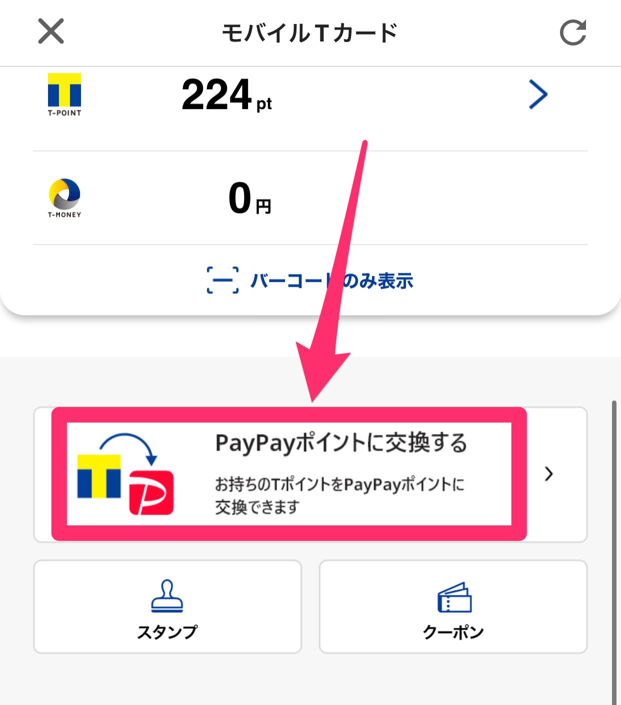 T point paypay 09003