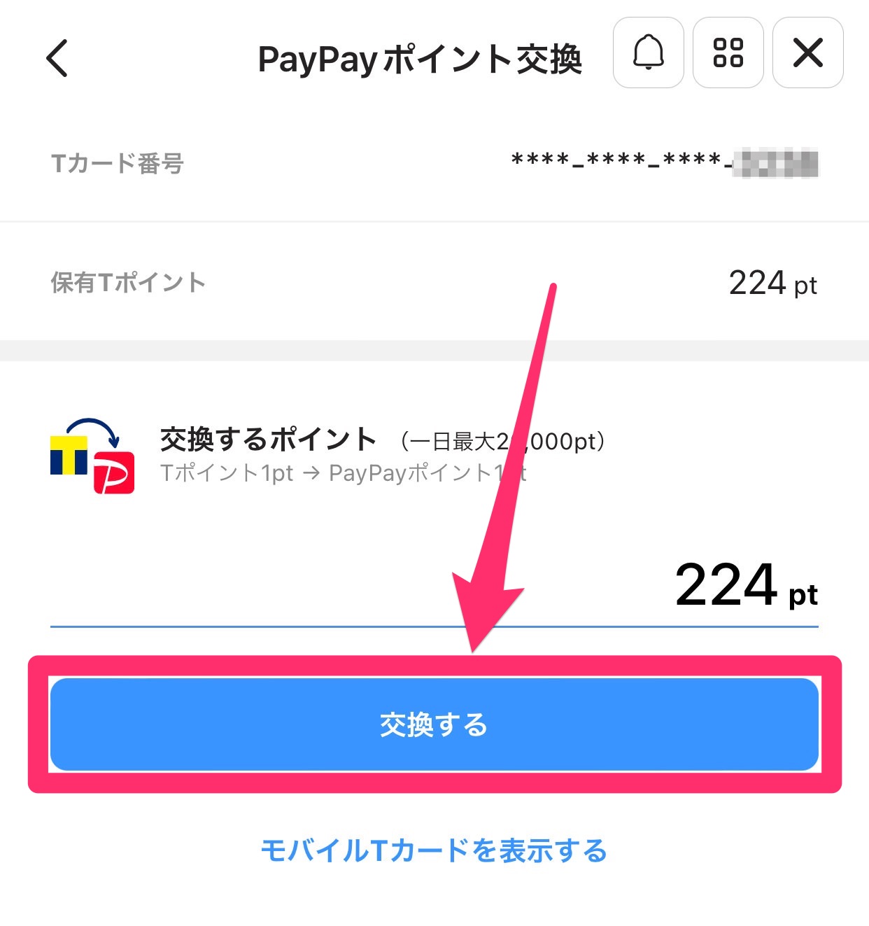 T point paypay 09005
