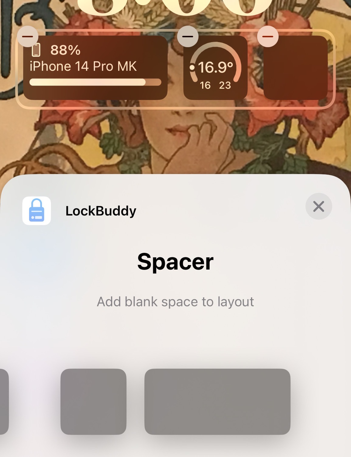 Lock buddy 28004